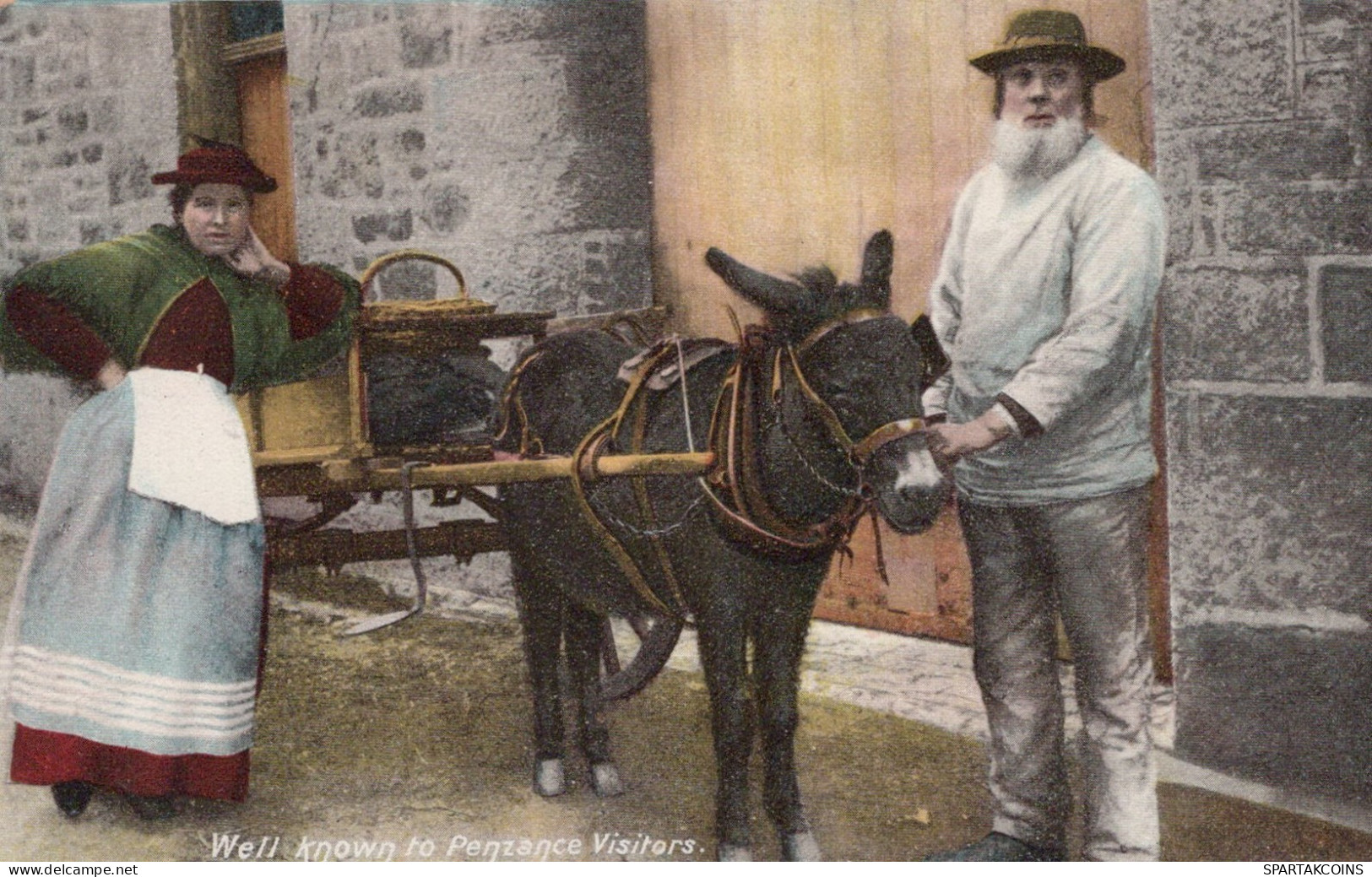 DONKEY Animals Vintage Antique Old CPA Postcard #PAA004.GB - Donkeys
