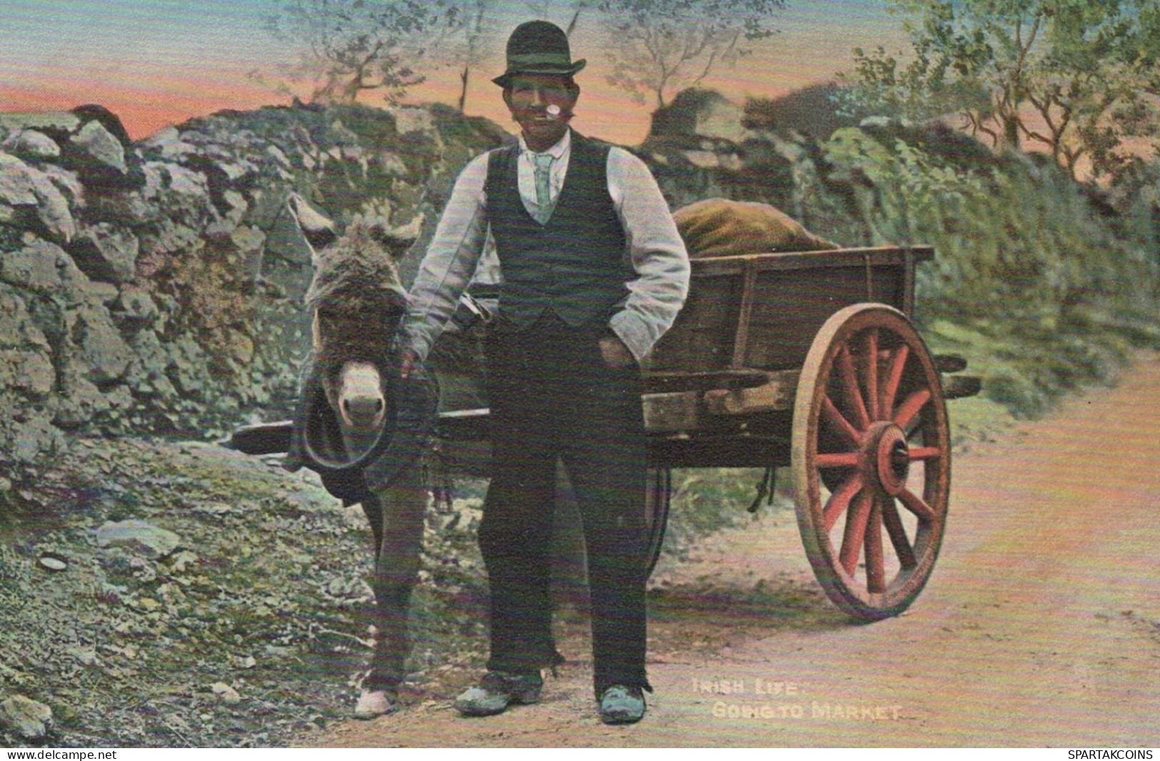 DONKEY Animals Vintage Antique Old CPA Postcard #PAA086.GB - Donkeys