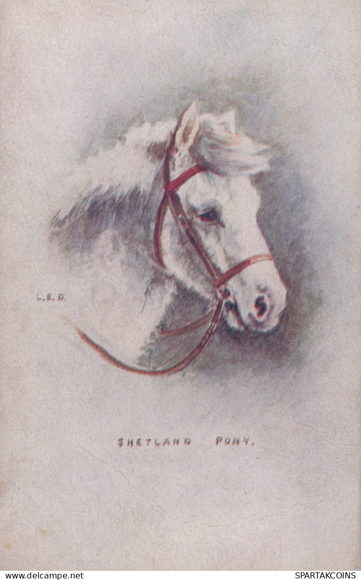 DONKEY Animals Vintage Antique Old CPA Postcard #PAA261.GB - Donkeys