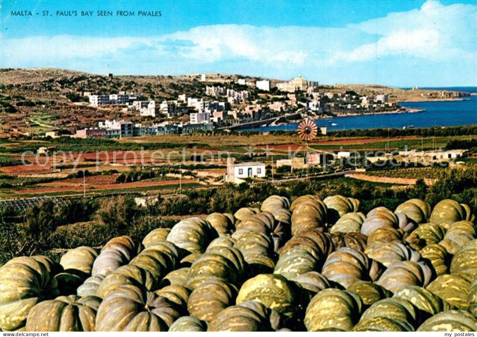 73577714 Malta Saint Paul's Bay Seen From Pwales Malta - Malte