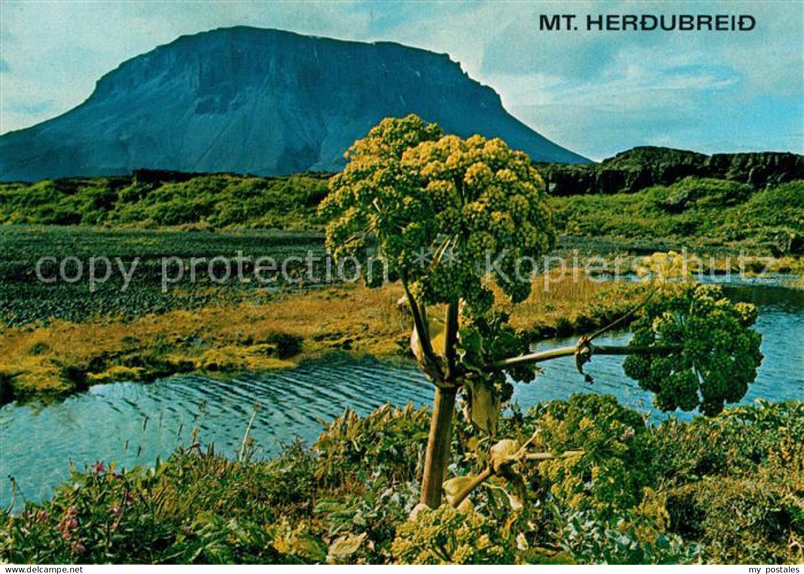 73577681 Island Mount Herdubreid Landschaftspanorama Island - IJsland