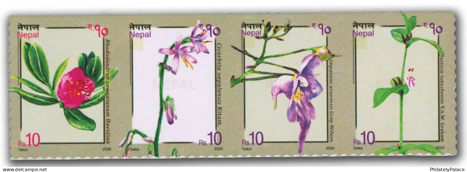 NEPAL 2024 Flower,Flora,Indigenous Plants,Nature,4v Mint Set, MNH (**) - Nepal