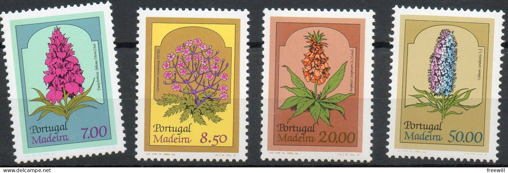 Madère ( Portugal )  Fleurs , Flowers XXX - Madeira