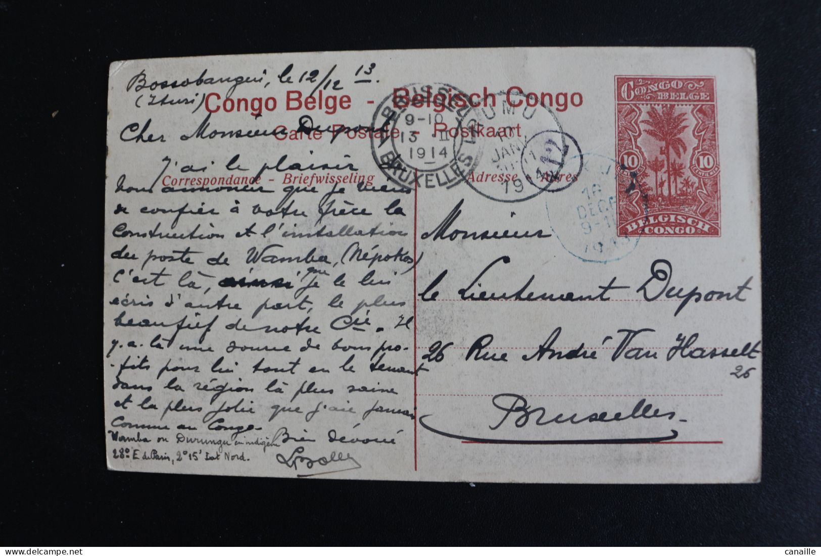 S-C 183 / Congo - Kinshasa (ex Zaire) - Congo Belge  -  Léopoldville Chameaux Porteurs  / 1914 - Kinshasa - Léopoldville