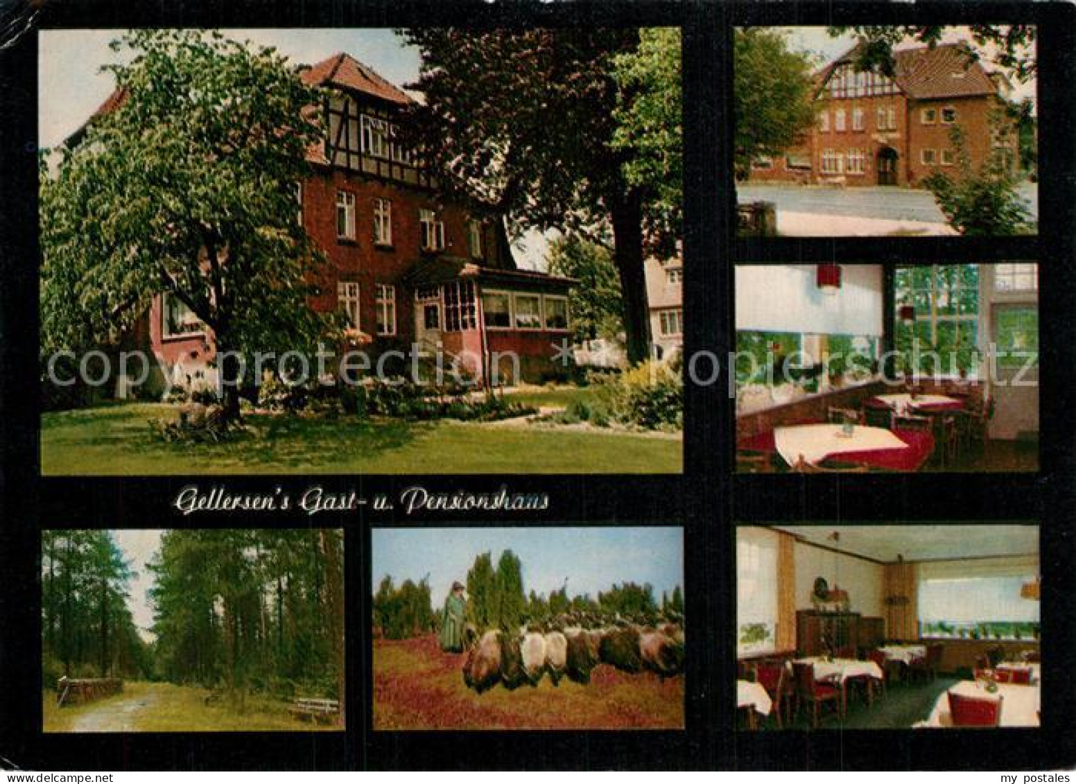73569268 L?bberstedt L?neburger Heide Gellersen's Gast- Und Pensionshaus  - To Identify