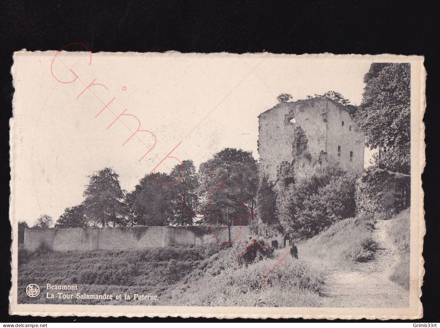 Beaumont - La Tour Salamandre Et La Poterne - Postkaart - Beaumont