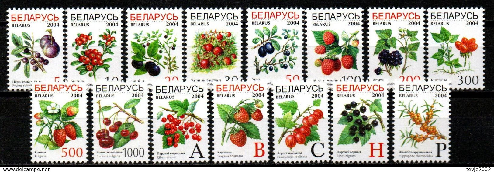 Weißrussland Belarus 2004 - Mi.Nr. 514 - 528 - Postfrisch MNH - Früchte Obst Fruits Beeren Berries - Légumes