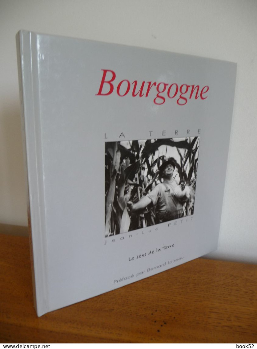 BOURGOGNE La Terre - Bourgogne