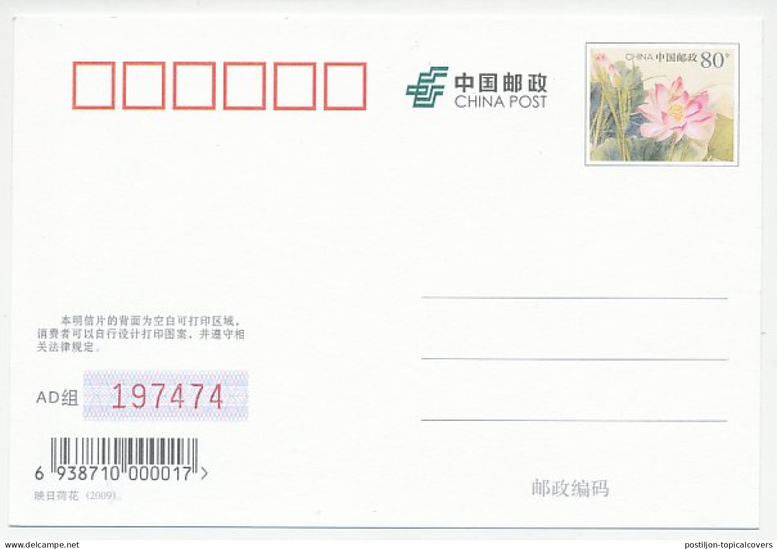 Postal Stationery China 2009 Polar Bear - Spedizioni Artiche