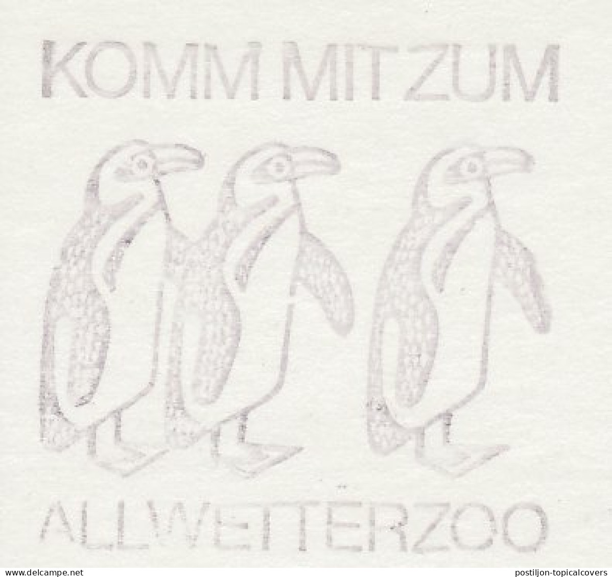 Postcard / Postmark Germany Bird - Penguin - Zoo Munster - Arctic Expeditions
