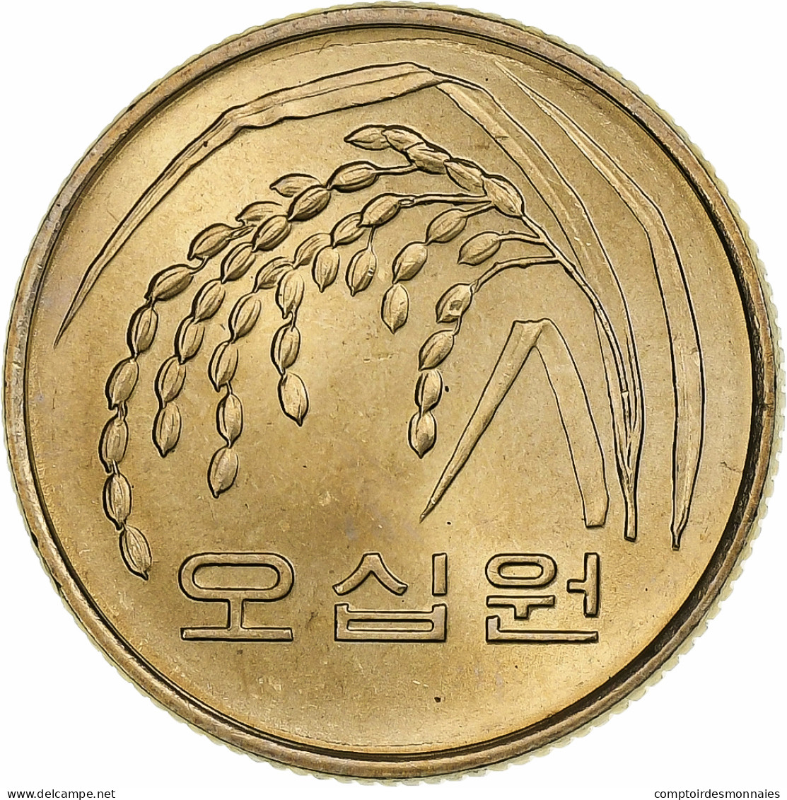Corée Du Sud, 50 Won, 1983, Cuivre-Nickel-Zinc (Maillechort), SUP, KM:34 - Korea, South
