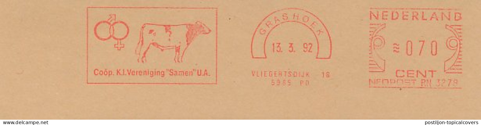 Meter Cut Netherlands 1992 Bull - Co-operative Artificial Insemination Association - Boerderij