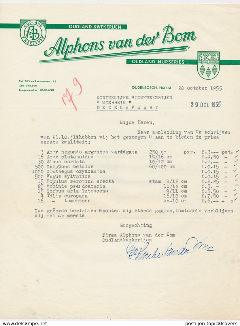 Brief Oudenbosch 1955 - Kwekerij - Pays-Bas
