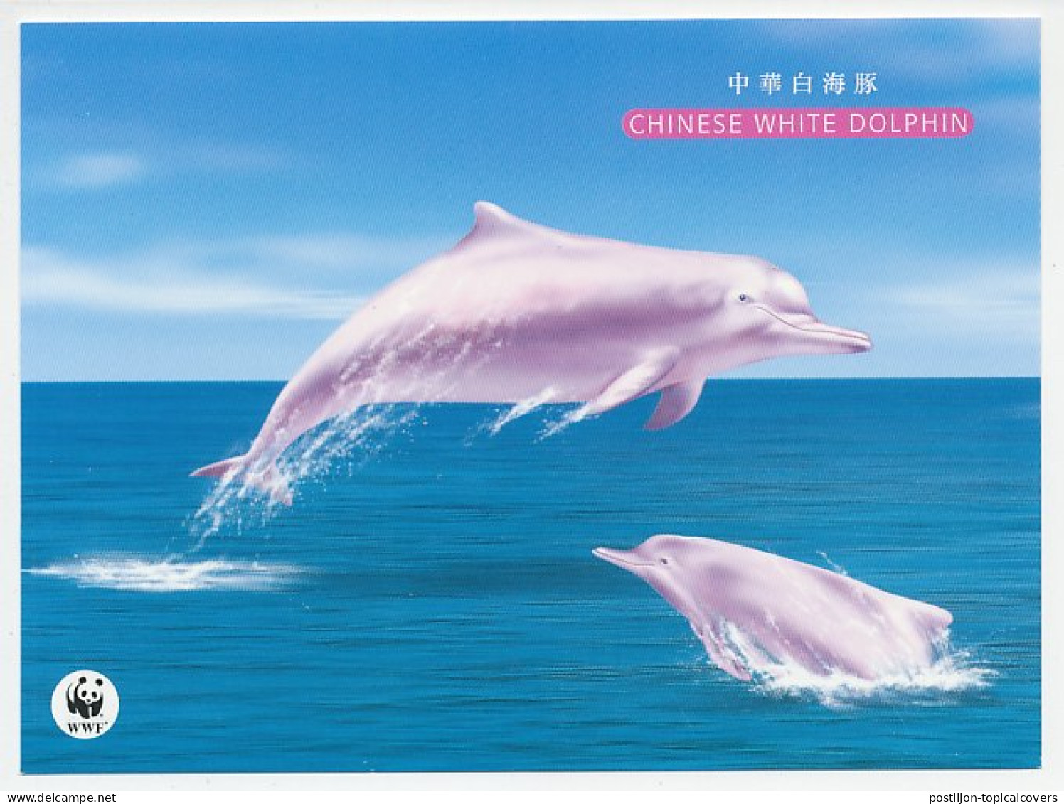 Postal Stationery HongKong Chinese White Dolphin - WWF - Maritiem Leven