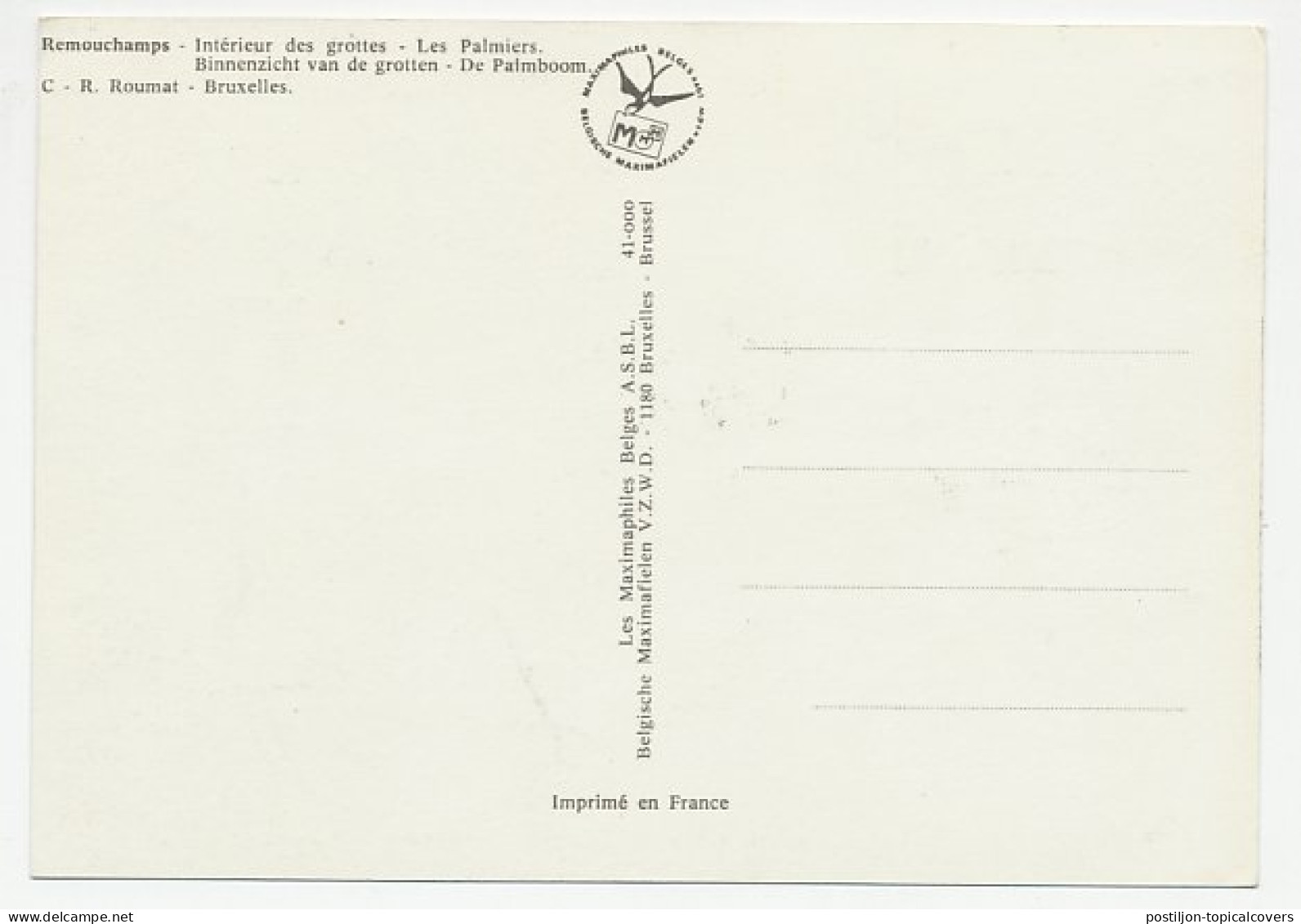 Maximum Card Belgium 1976 Caves Of Remouchamps - Stalactite Caves - Palm Tree - Other & Unclassified