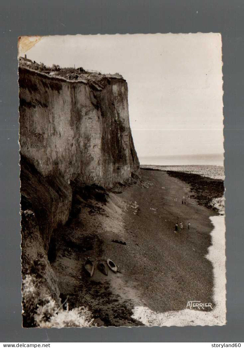 Bois De Cise Par Ault Les Falaises Vers Mers - Ault