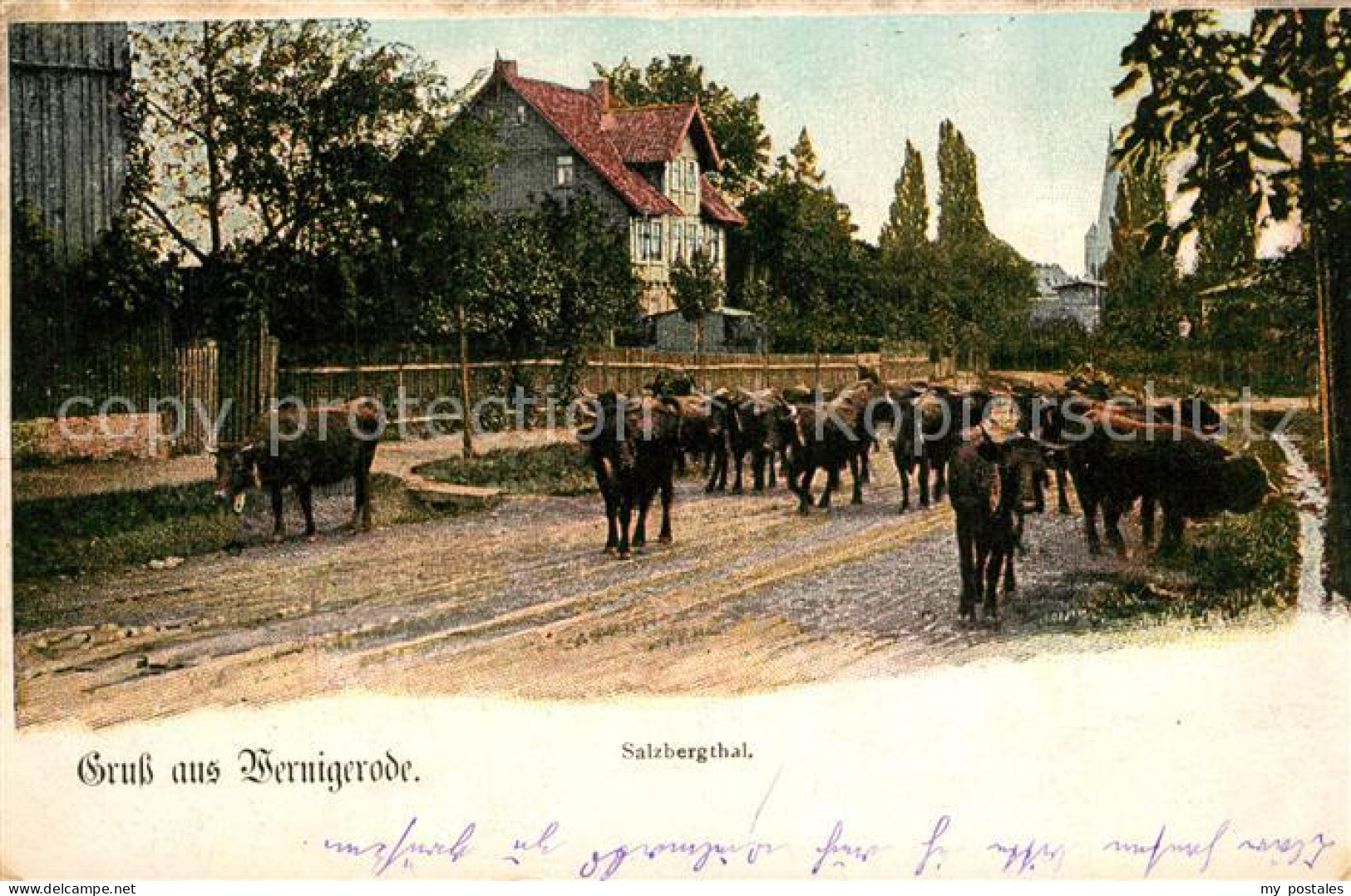 73546920 Wernigerode Harz Salzbergtal Wernigerode Harz - Wernigerode