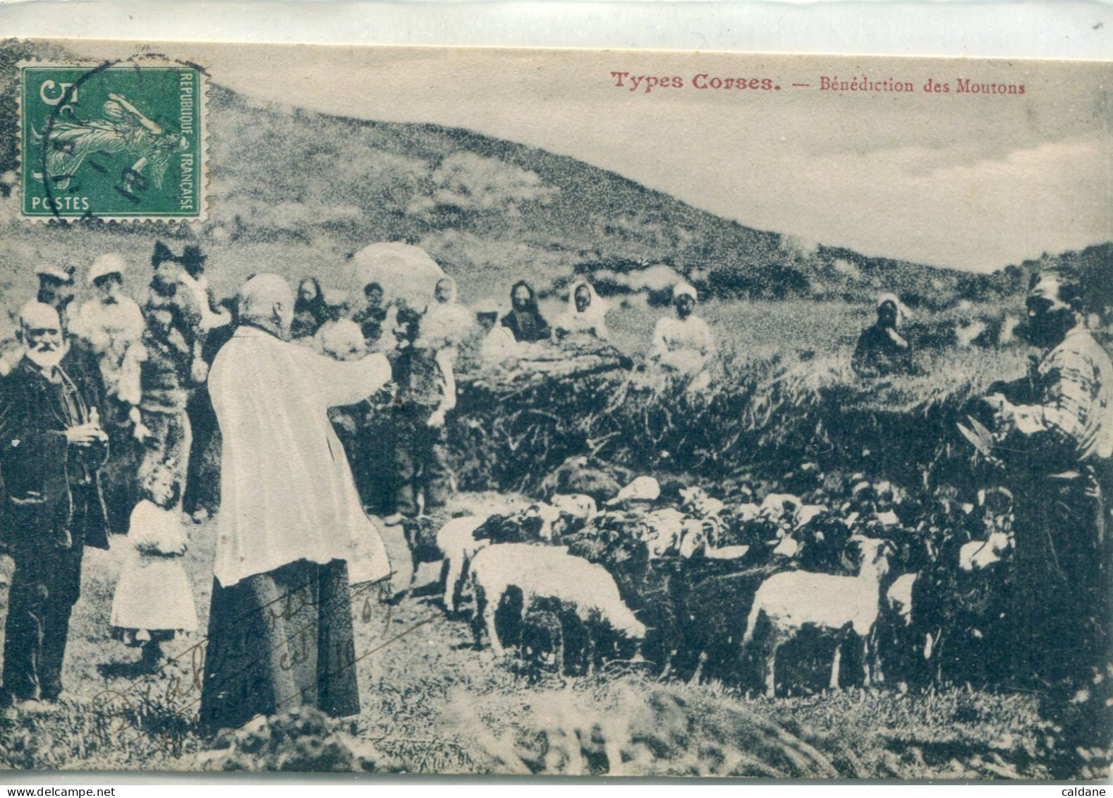 -CORSE  -  Types   Corses  -Benediction  Des  Moutons -    Collection L.Cardinali - Elevage