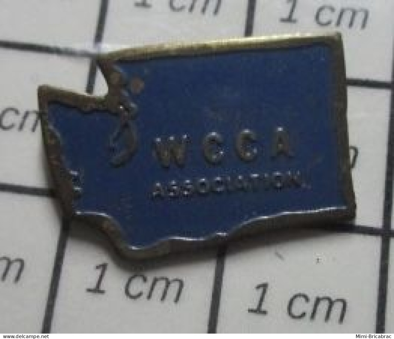 713c Pin's Pins / Beau Et Rare / ASSOCIATIONS / WCCA ASSOCIATION Pin's USA - Associations