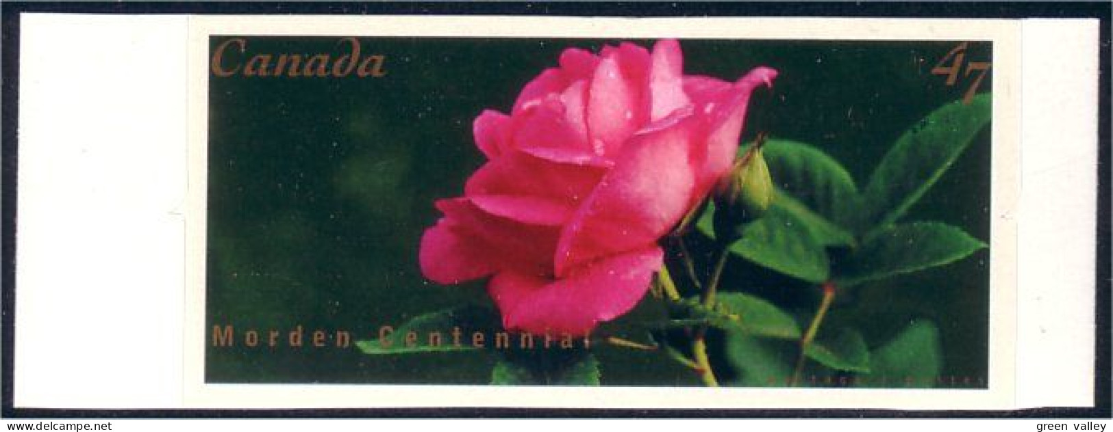 Canada Rose Morden Adhesive MNH ** Neuf SC (C19-11b) - Rose