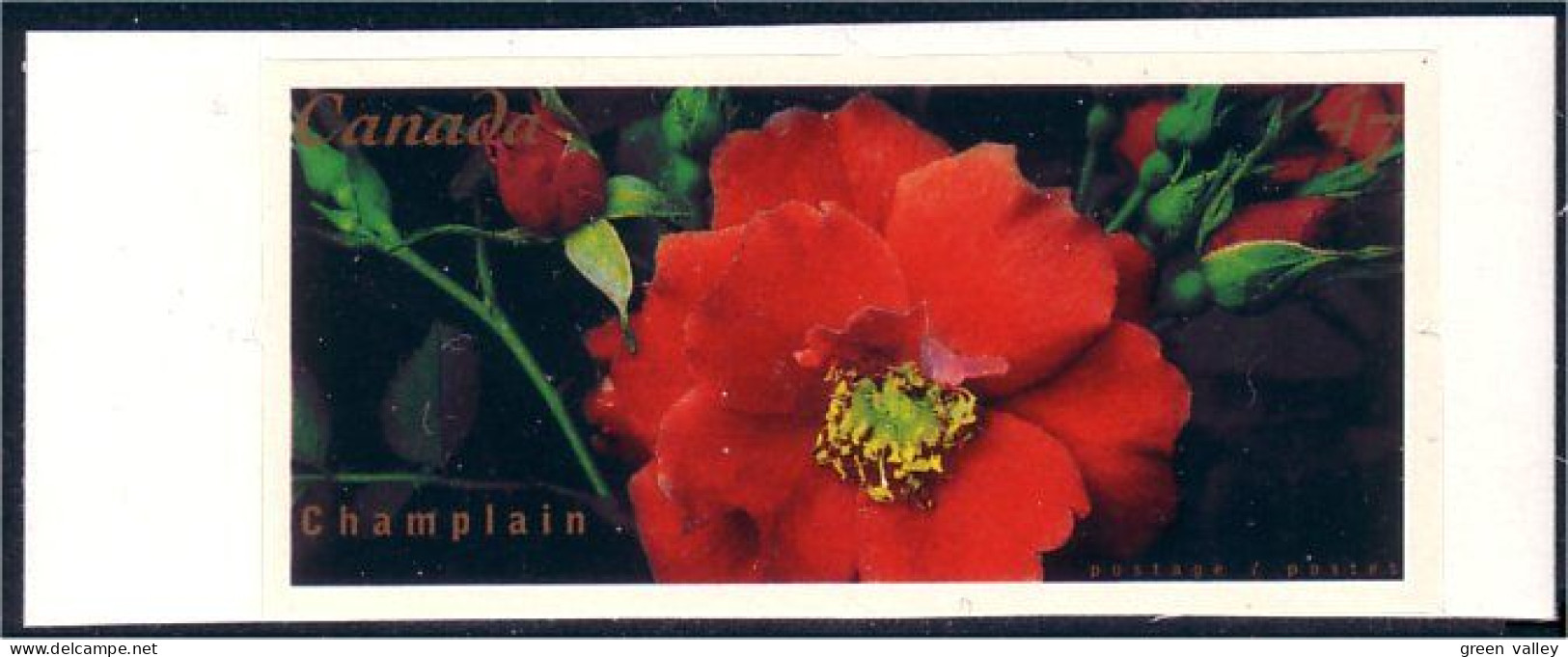 Canada Rose Champlain Adhesive MNH ** Neuf SC (C19-13b) - Rosas