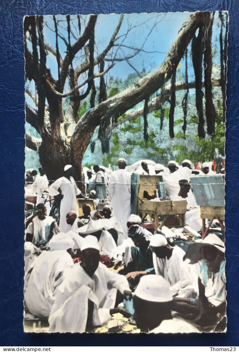 Marché De Maroua, Lib "Au Messager", N° 1779 - Cameroon