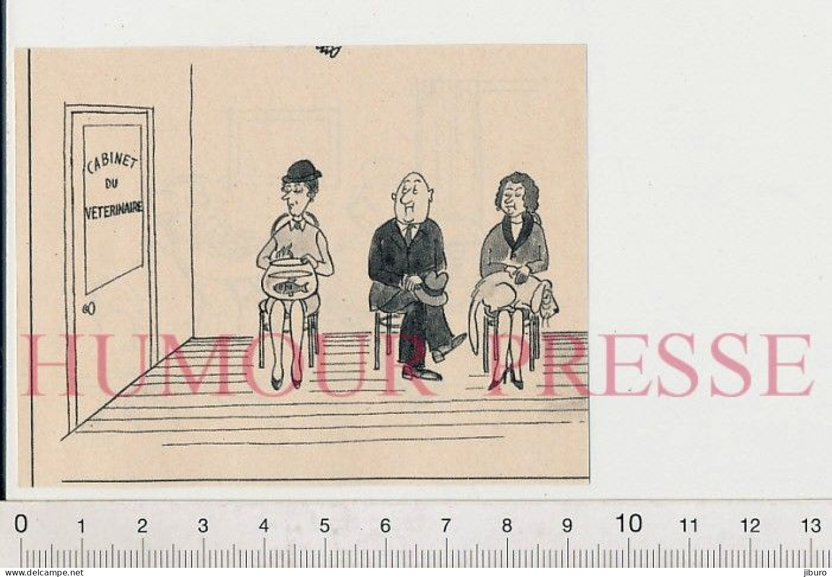 2 Vues Humour Cabinet Vétérinaire Métier + Instrument Médecine Stéthoscope Médecin Auscultation - Unclassified