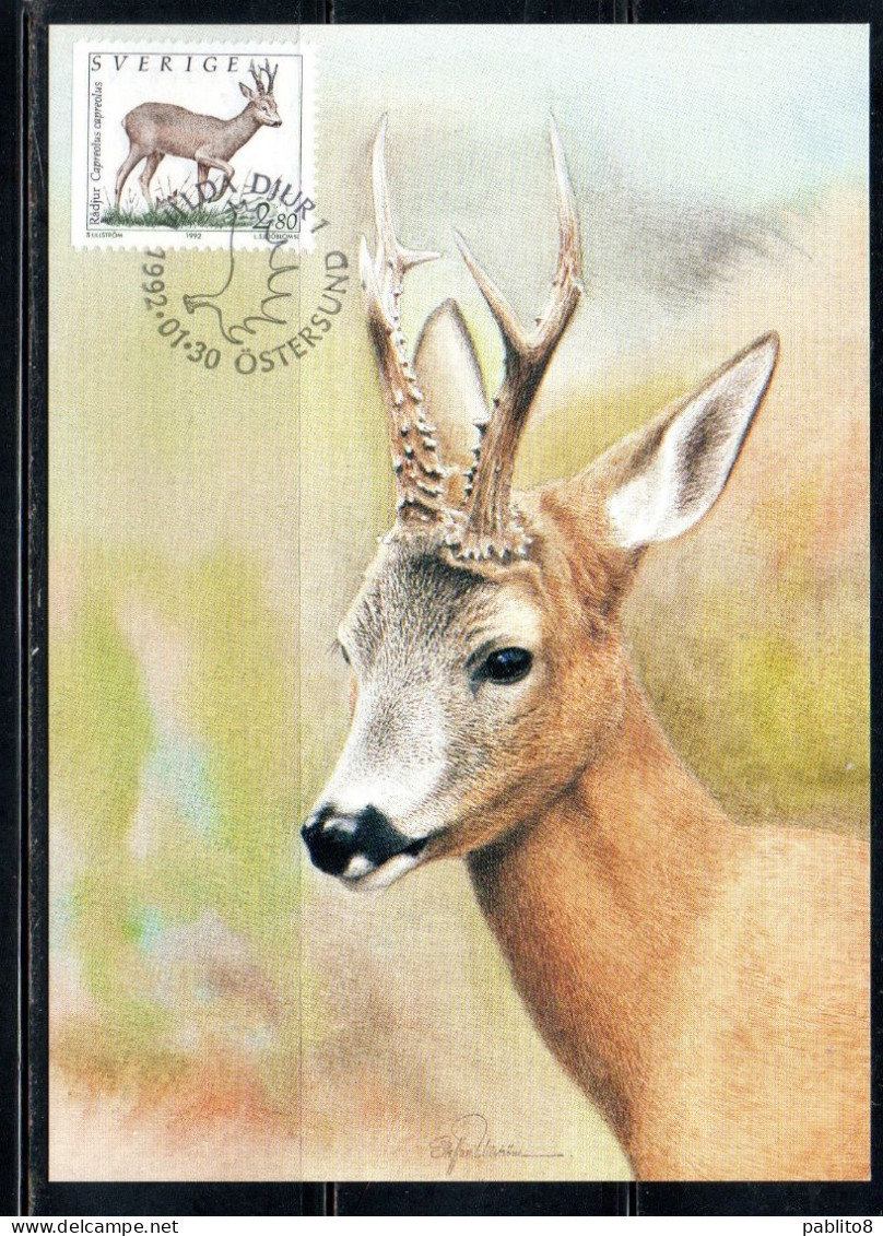 SWEDEN SVERIGE SVEZIA SUEDE 1992 2009 WILD FAUNA ANIMALS CAPREOLUS 2.80k MAXI MAXIMUM CARD CARTE - Cartoline Maximum