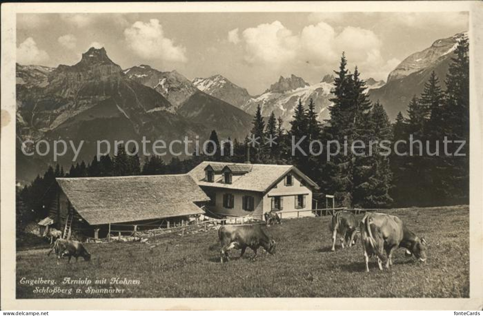 11739302 Engelberg OW Arnialp Mit Hahnen Schlossberg U. Spannoerter Engelberg OW - Autres & Non Classés