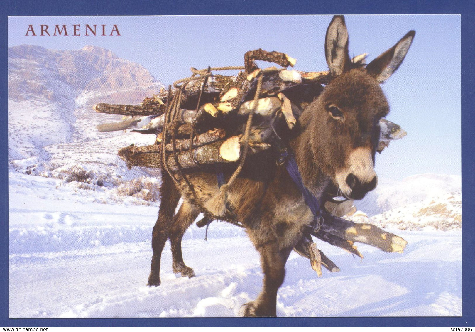 Armenia. Donkey At Work. - Arménie