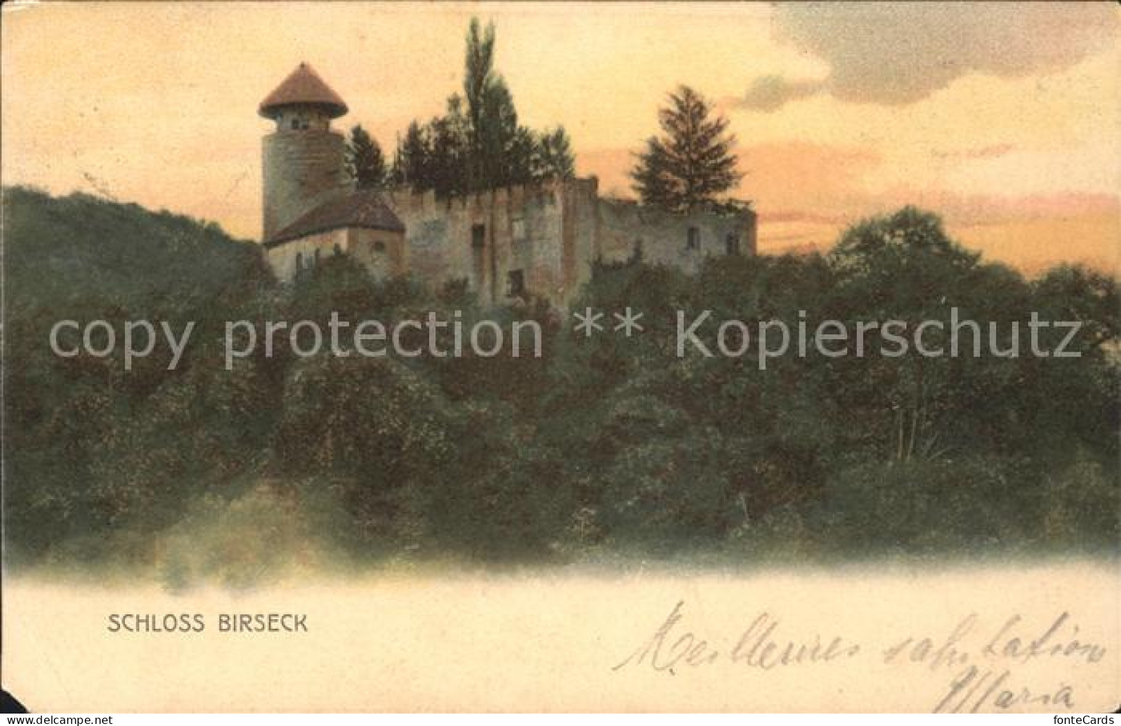 11738922 Arlesheim Schloss Birseck Litho Arlesheim - Andere & Zonder Classificatie