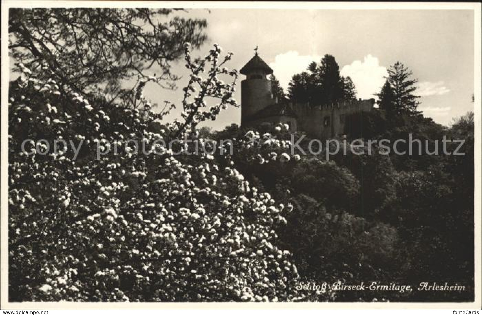 11738920 Arlesheim Schloss Birseck-Ermitage Arlesheim - Altri & Non Classificati