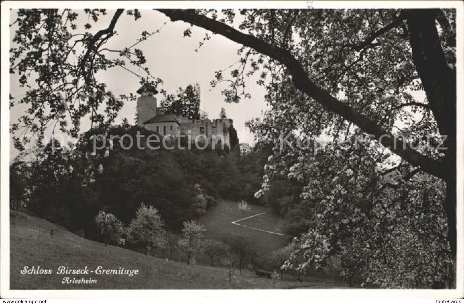 11738914 Arlesheim Schloss Birseck-Eremitage Arlesheim - Altri & Non Classificati