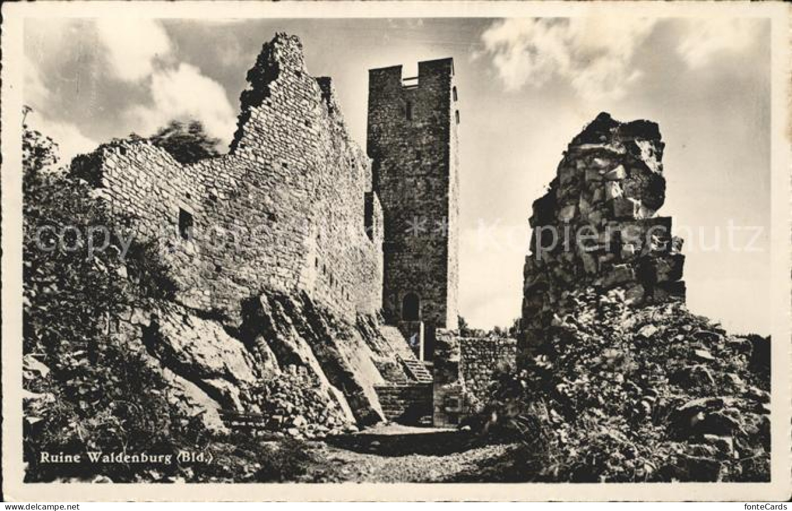 11738882 Waldenburg BL Ruine Waldenburg - Autres & Non Classés