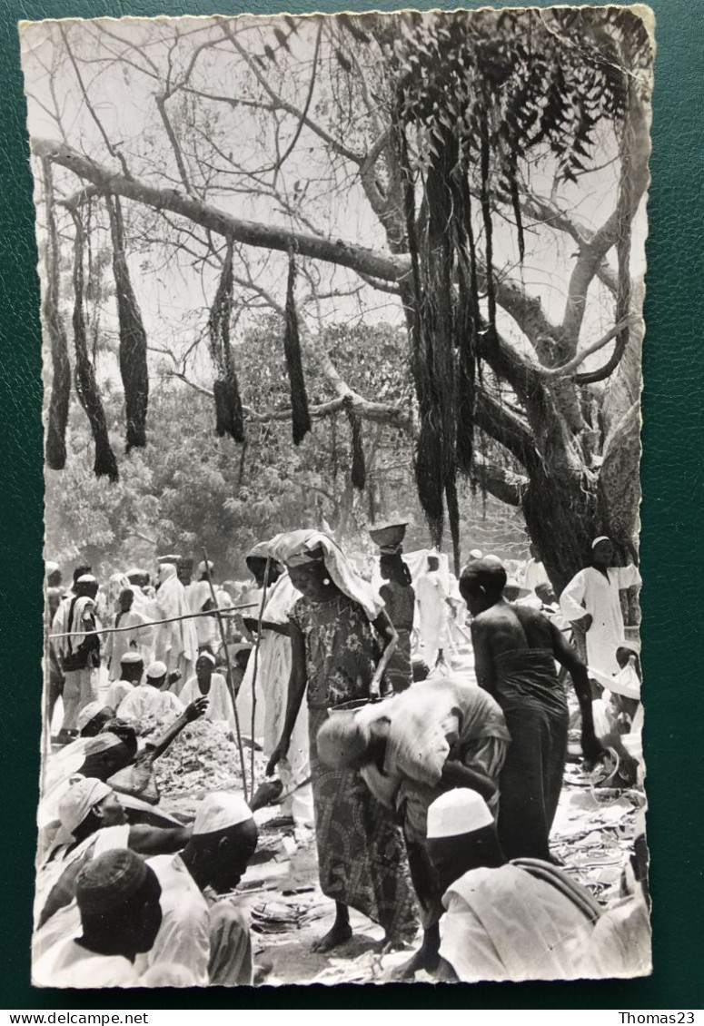 Marché De Maroua, Lib "Au Messager", N° 1936 - Cameroon