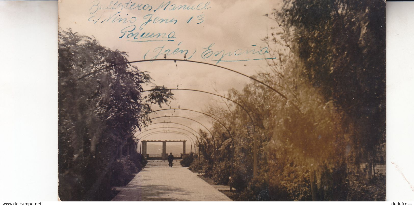 PORCUNA CARTE PHOTO - Jaén