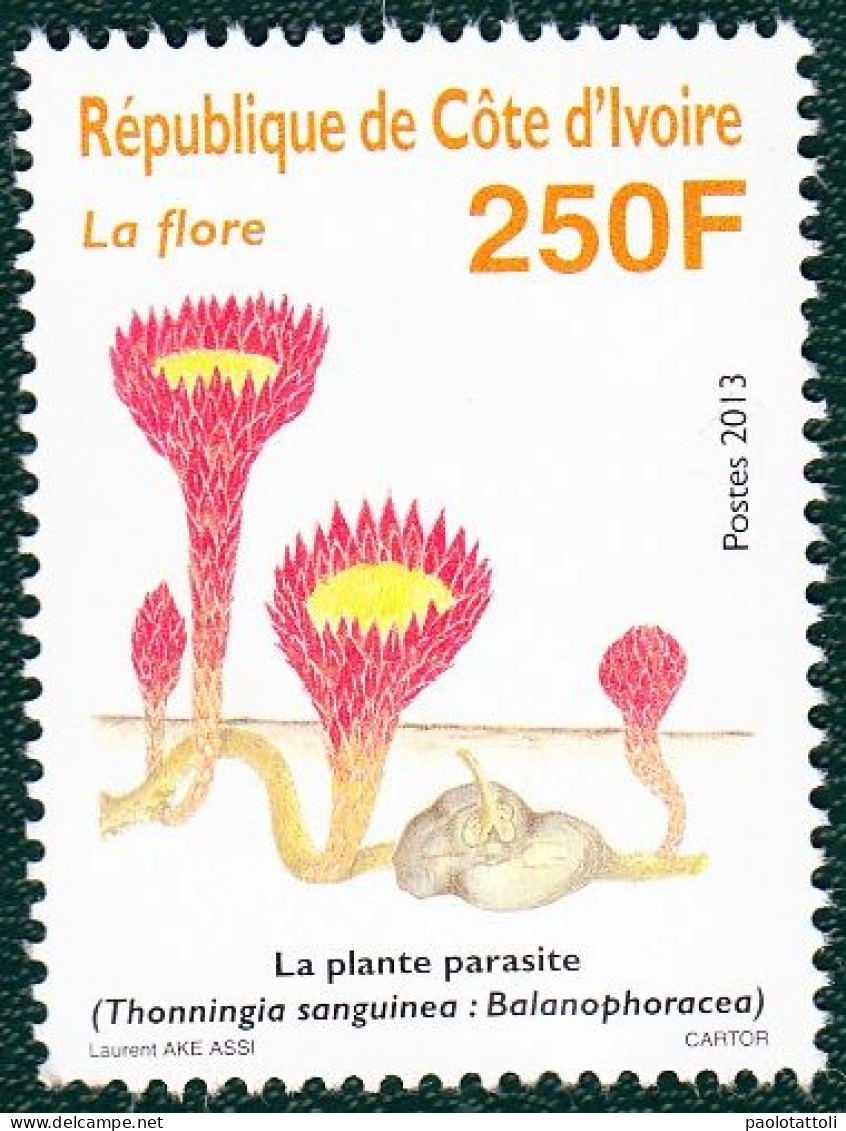 Cote D'Ivoire,2013-  La Flore- 250F. New NH - Côte D'Ivoire (1960-...)