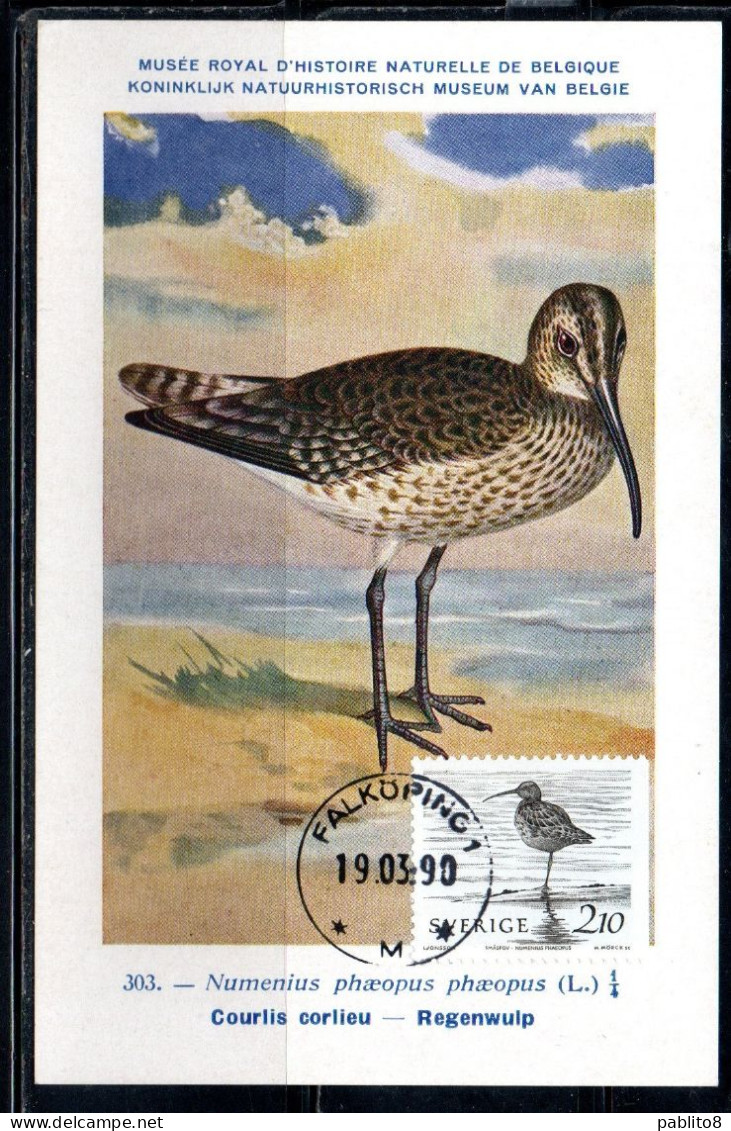 SWEDEN SVERIGE SVEZIA SUEDE 1986 NATURAL MUSEUM BIRD FAUNA WATERBIRDS SMASPOV 2.10k MAXI MAXIMUM CARD CARTE - Cartes-maximum (CM)