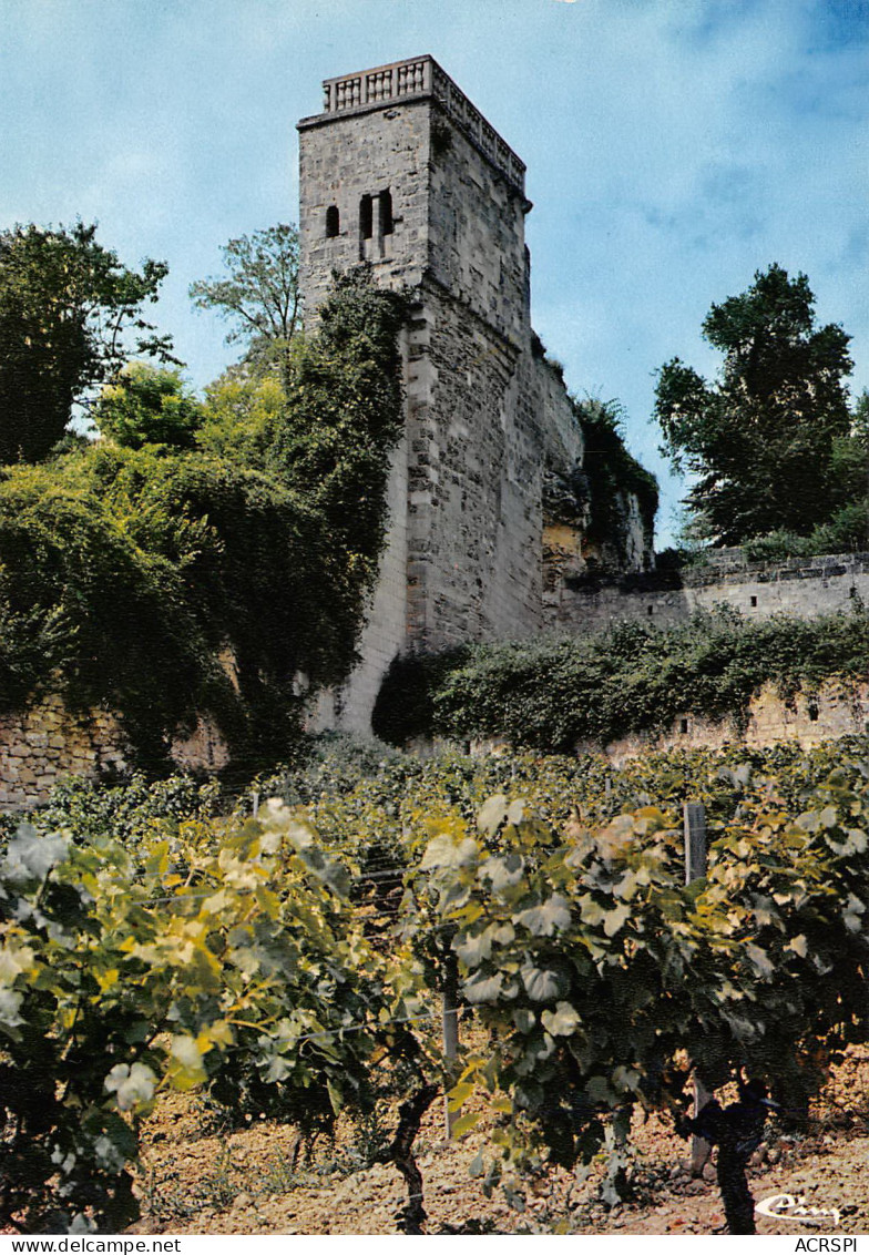 SAINT EMILION  La Tour Du Guetteur  31 (scan Recto Verso)MG2803 - Saint-Emilion