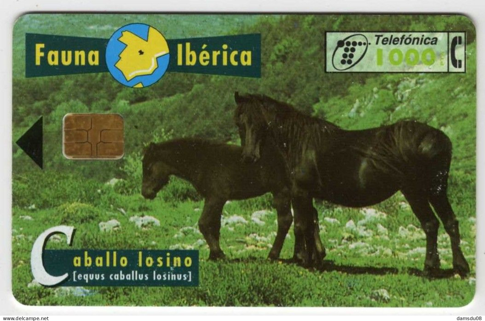 Espagne 1000 PTA Fauna Iberica Caballo Losino 01/97 1.000.000 Exemplaires Vide Cheval - Emissioni Di Base
