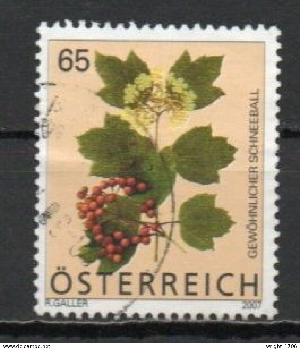 Austria, 2007, Flowers/Guelder Rose, 65c, USED - Gebruikt