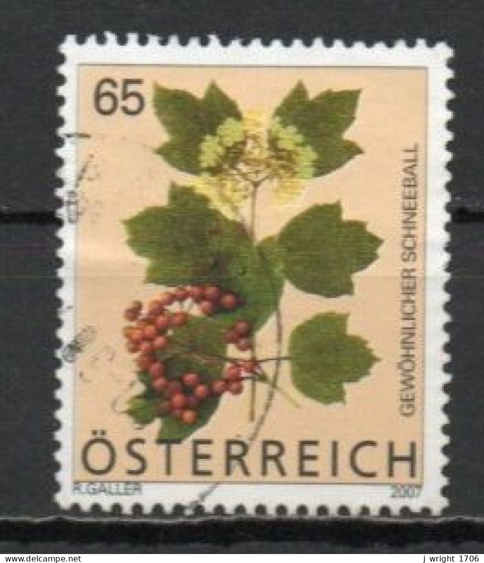 Austria, 2007, Flowers/Guelder Rose, 65c, USED - Usados