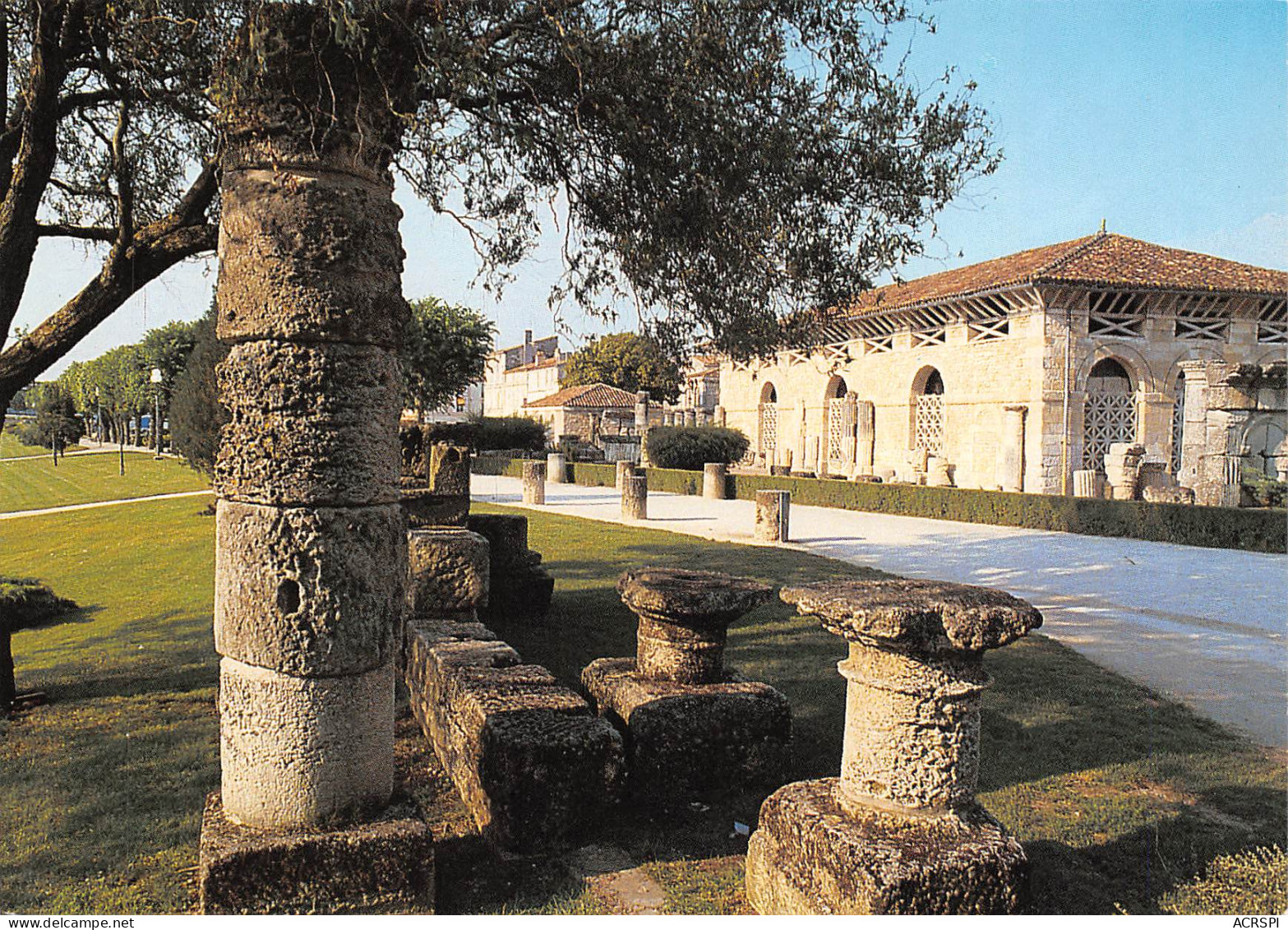 SAINTES  Le Jardin Du Musée Archéologique Près Des Rives De La Charente  15  (scan Recto Verso)MG2839 - Saintes
