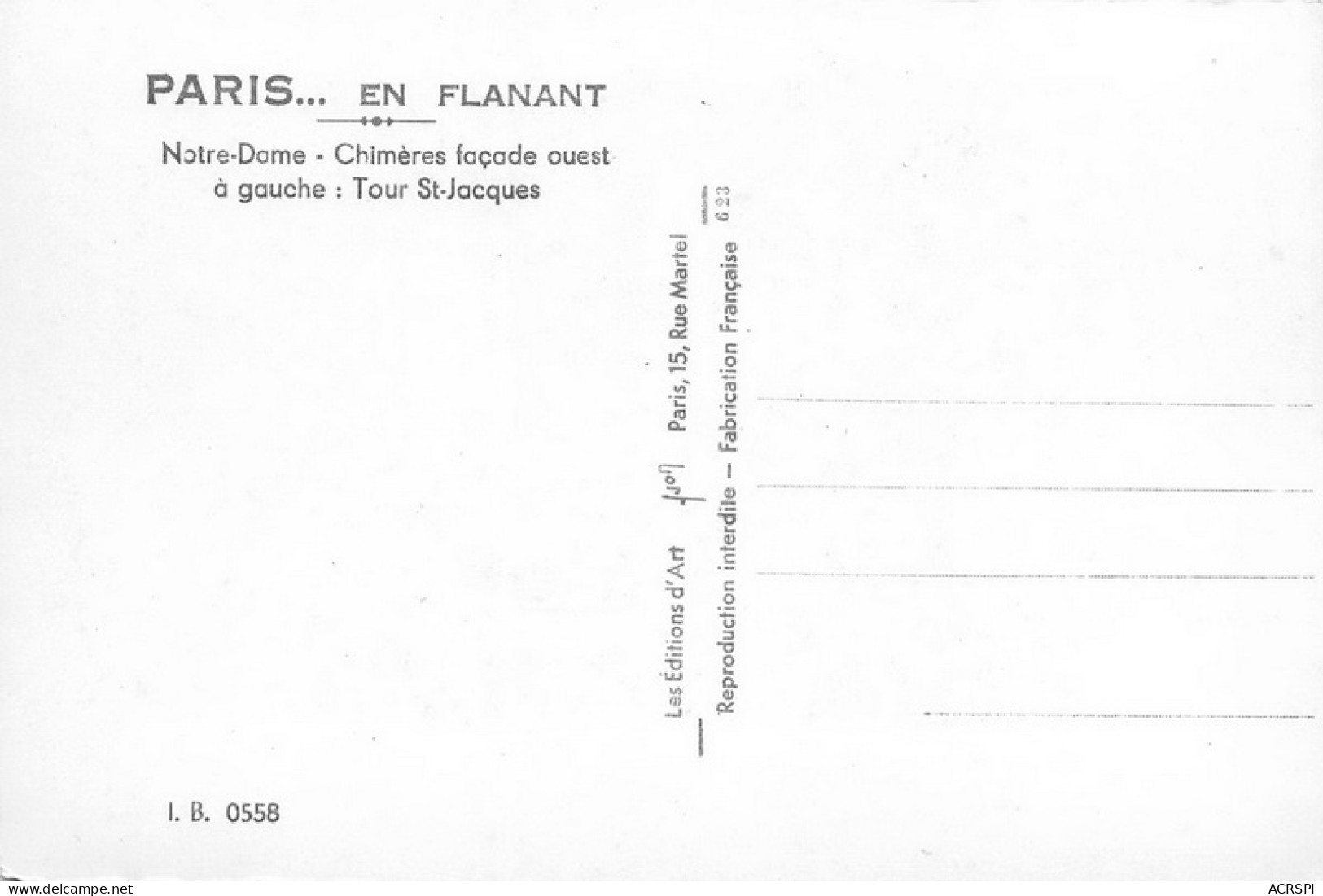 NOTRE DAME DE PARIS  Viollet-le-Duc Flèche Cathédrale église Christ Religion - Notre Dame De Paris