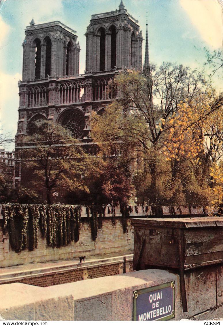 NOTRE DAME DE PARIS  Viollet-le-Duc Flècheéglise Cathédrale  - Notre Dame Von Paris