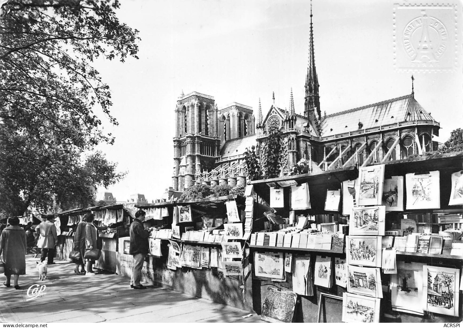 NOTRE DAME DE PARIS  Viollet-le-Duc Flèche église Cathédrale Et Bouquinistes - Notre Dame De Paris