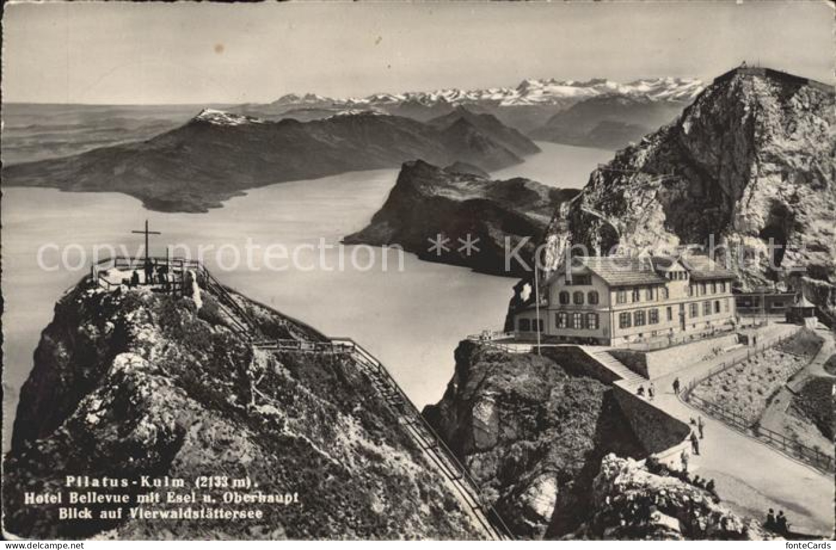 11737208 Pilatus Kulm Hotel Bellevue Esel Mit Vierwaldstaettersee Und Alpen Pila - Autres & Non Classés