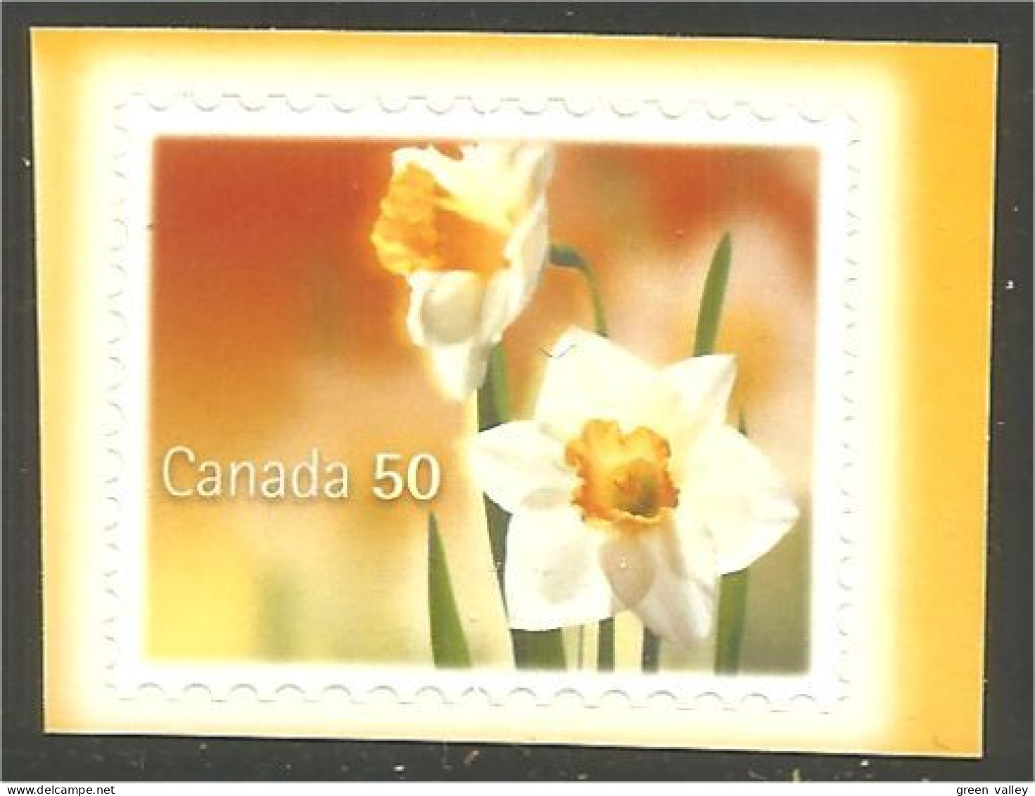 Canada White Daffodil Jonquille Blanche MNH ** Neuf SC (C20-93b) - Other & Unclassified