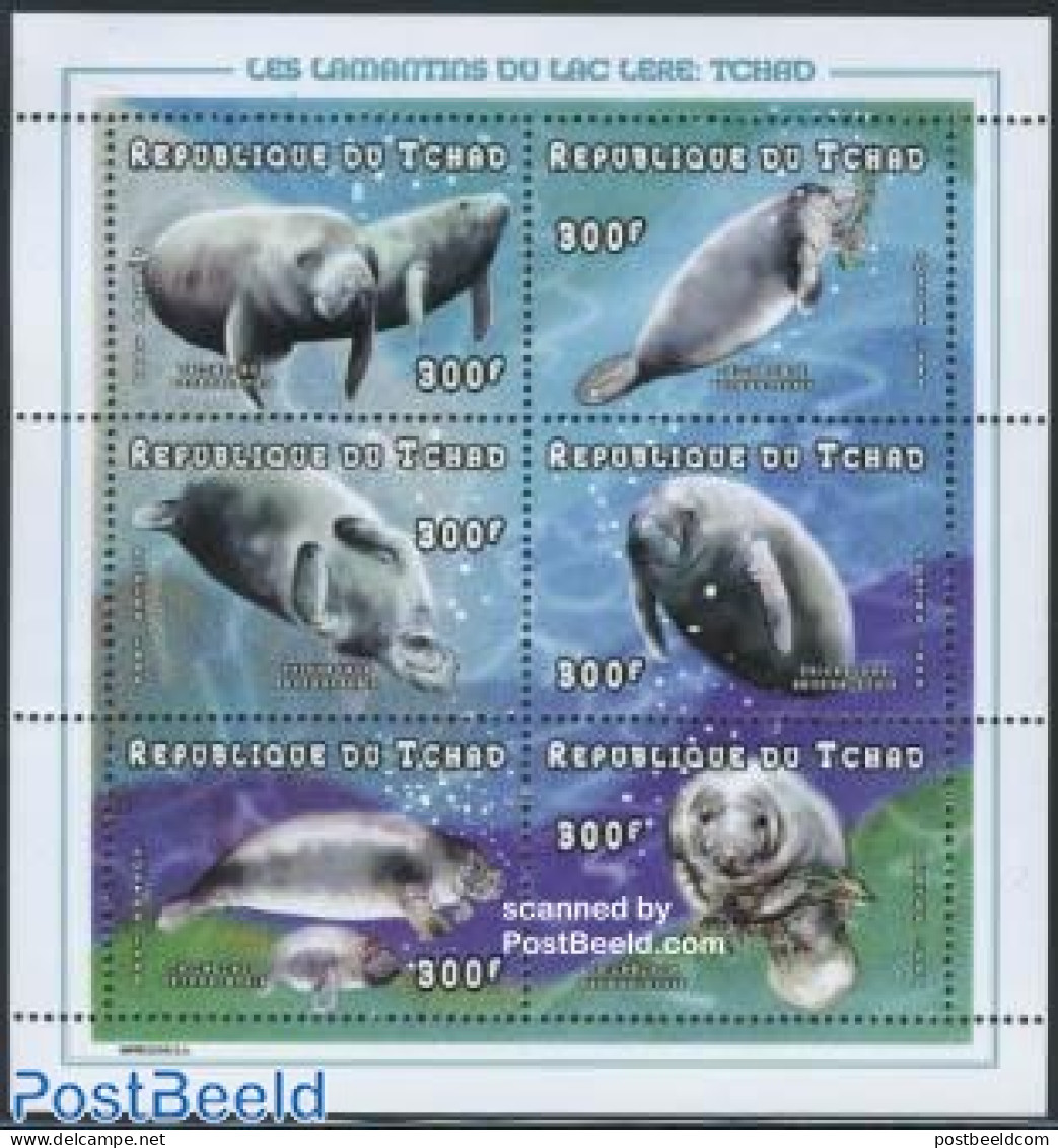 Chad 1998 Manati 6v M/s, Mint NH, Nature - Animals (others & Mixed) - Sea Mammals - Other & Unclassified
