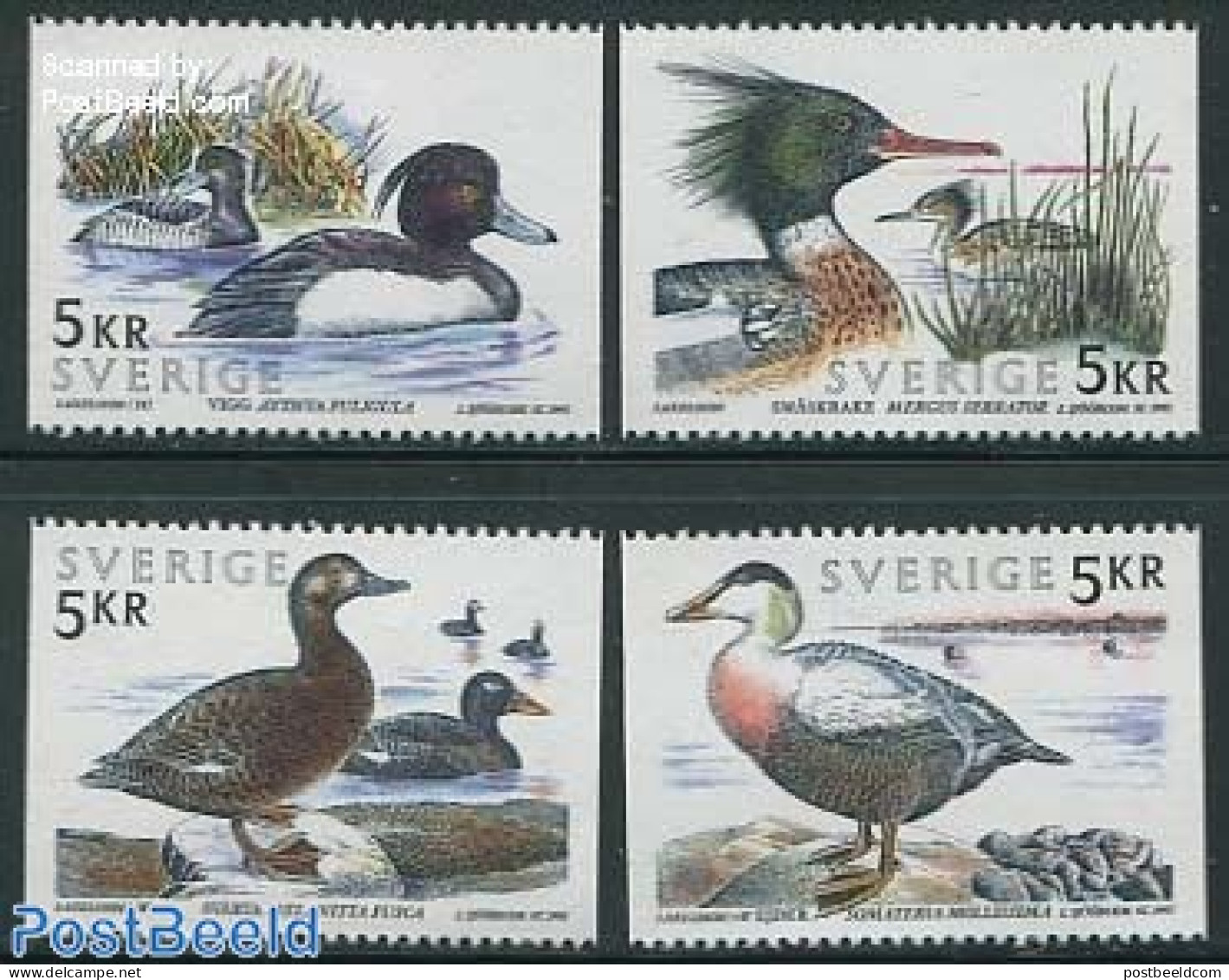 Sweden 1993 Water Birds 4v, Mint NH, Nature - Birds - Ducks - Nuevos